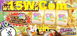 14vin: A Experiência de Casino com Jogos de Mesa ao Vivo