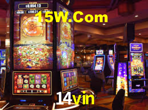 14vin app
